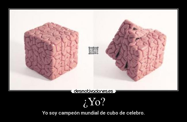 ¿Yo? - Yo soy campeón mundial de cubo de celebro.