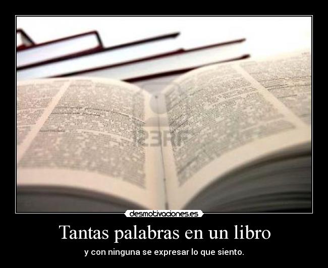 Tantas palabras en un libro - 