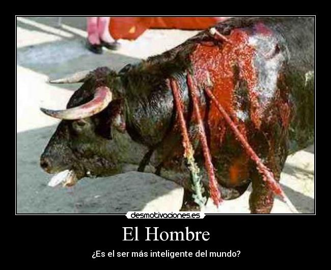 El Hombre - 