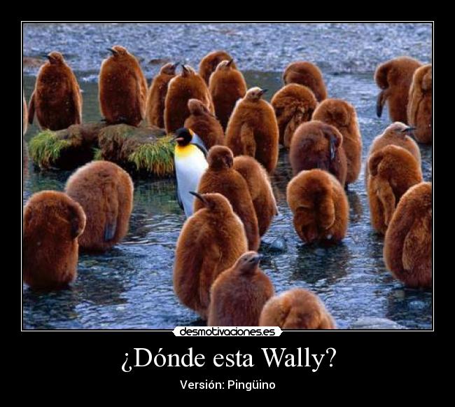 ¿Dónde esta Wally? - 