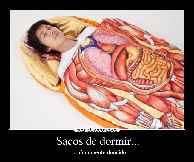 Sacos de dormir... -