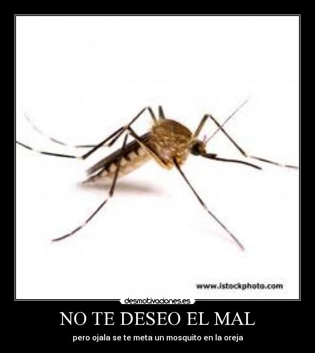 NO TE DESEO EL MAL -