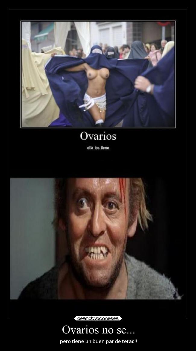 Ovarios no se... - pero tiene un buen par de tetas!!