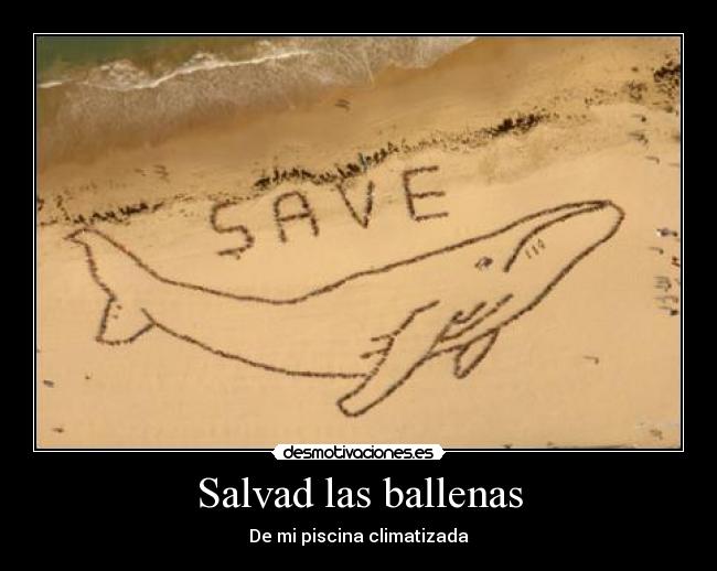 Salvad las ballenas - 