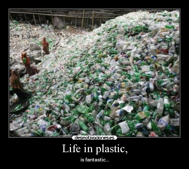 Life in plastic, - is fantastic...