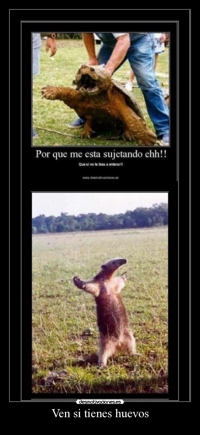 Ven si tienes huevos -