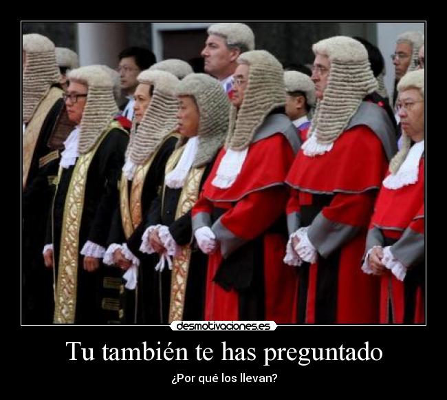 Tu también te has preguntado - 