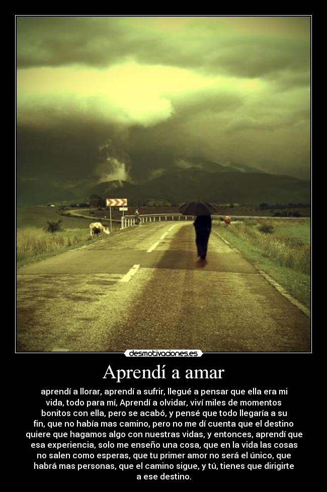 Aprendí a amar -