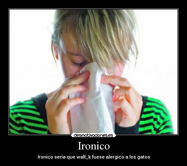 carteles walt_k alergia desmotivaciones