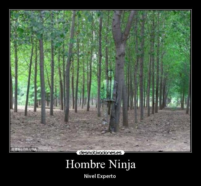 Hombre Ninja - Nivel Experto