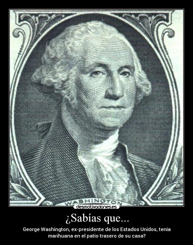 ¿Sabías que... - George Washington, ex-presidente de los Estados Unidos, tenía
marihuana en el patio trasero de su casa?