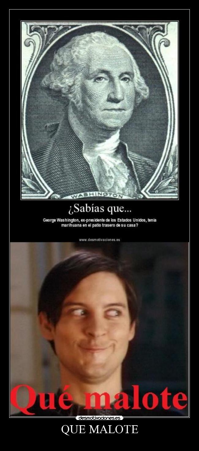 QUE MALOTE -