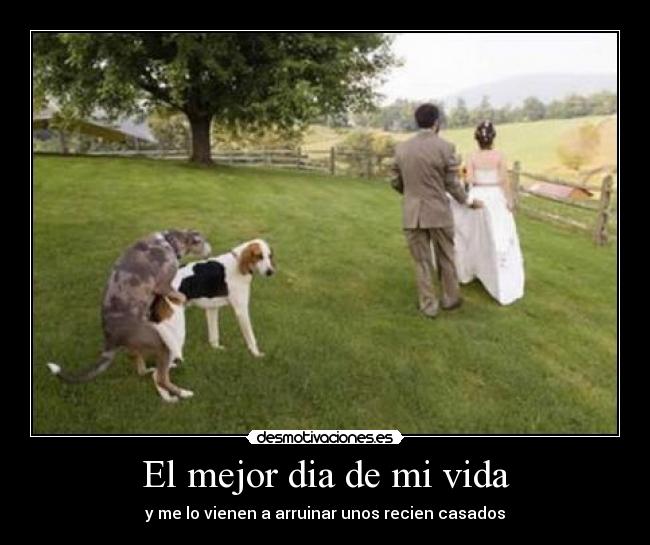 El mejor dia de mi vida - y me lo vienen a arruinar unos recien casados