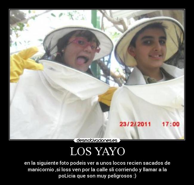 LOS YAYO -