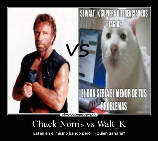 Chuck Norris vs Walt_K - 