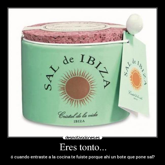 Eres tonto... - ó cuando entraste a la cocina te fuiste porque ahi un bote que pone sal?