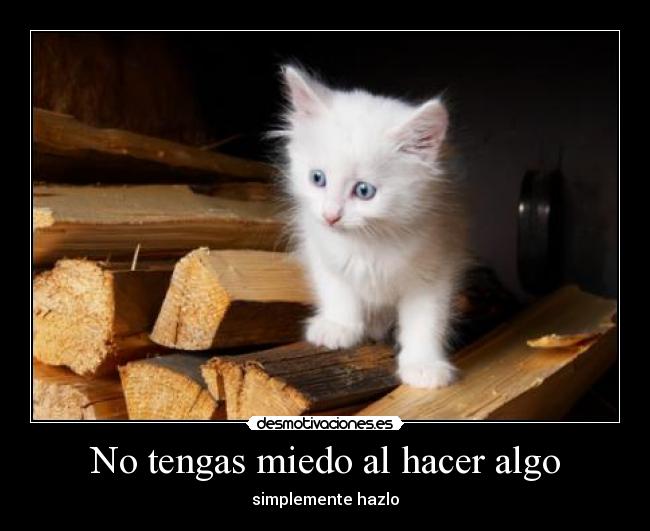 No tengas miedo al hacer algo -