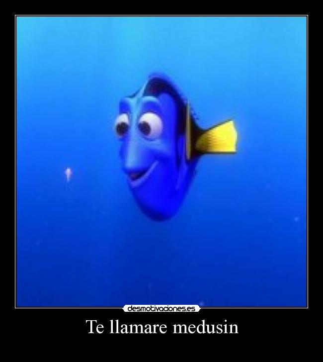 Te llamare medusin - 