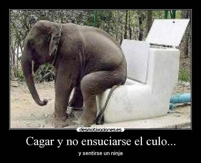 Cagar y no ensuciarse el culo... -