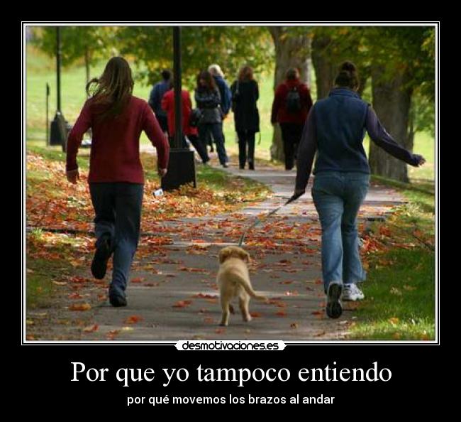 Por que yo tampoco entiendo -