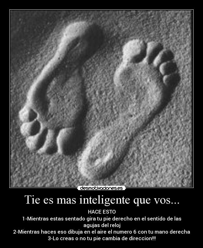 Tie es mas inteligente que vos... -