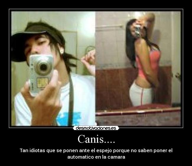 Canis.... -