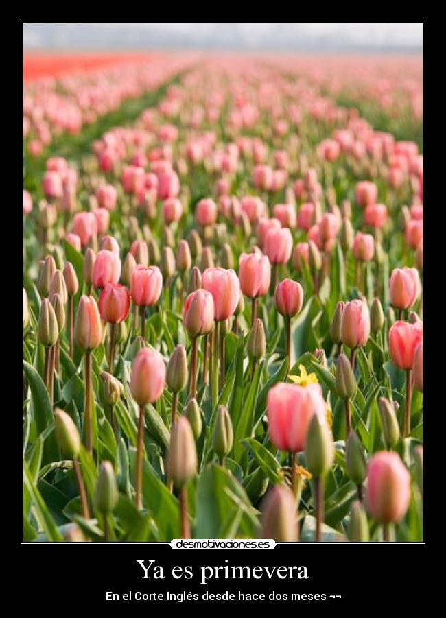 Ya es primevera -