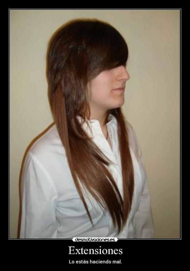 Extensiones - 
