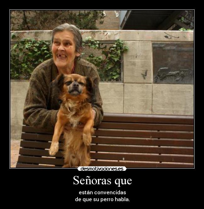 Señoras que - están convencidas
de que su perro habla.