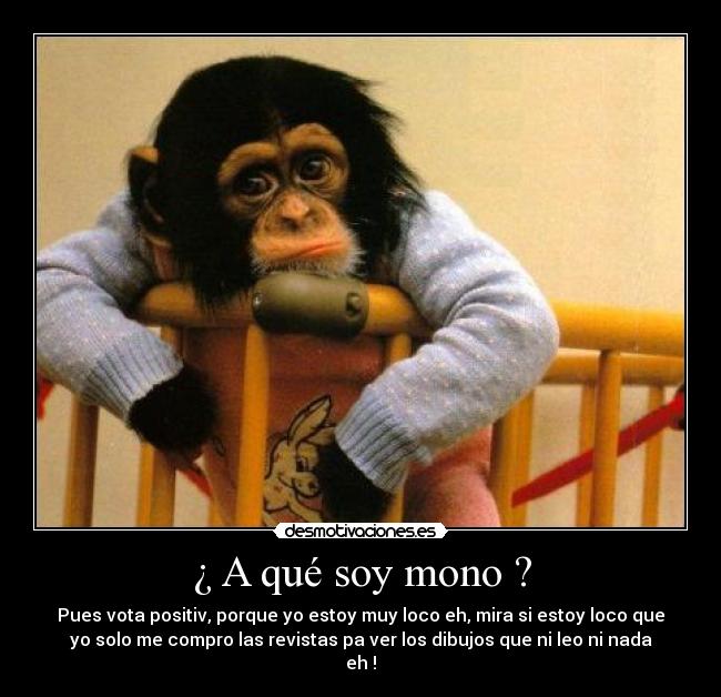 ¿ A qué soy mono ? -
