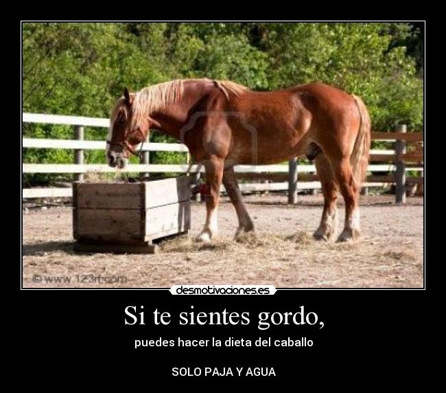 Si te sientes gordo, - puedes hacer la dieta del caballo
SOLO PAJA Y AGUA