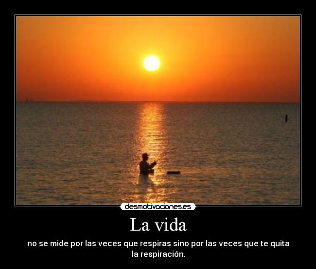 La vida - 