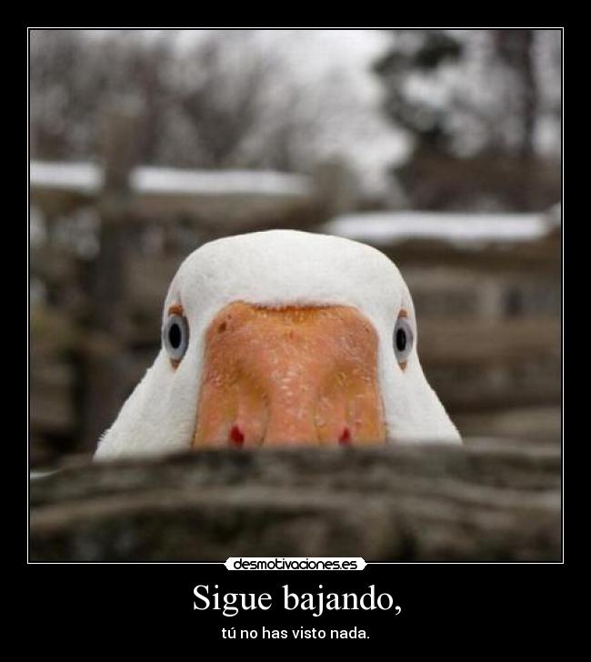 Sigue bajando, -