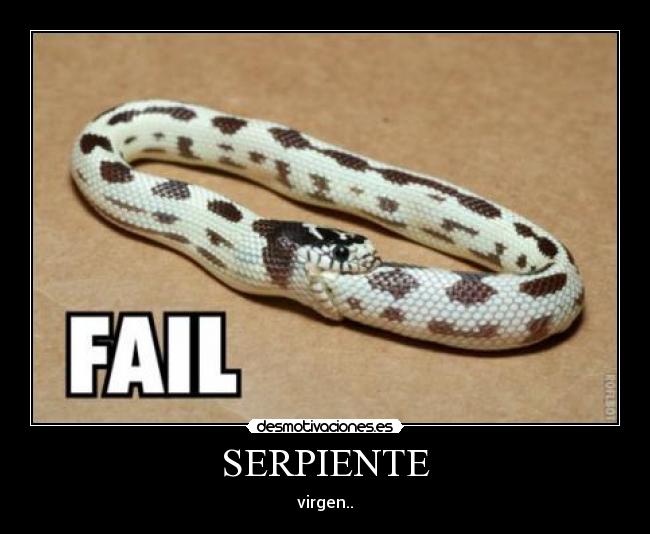 SERPIENTE - virgen..
