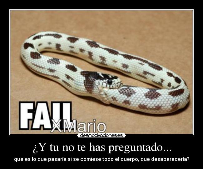 carteles xmario serpiente pregunta desmotivaciones