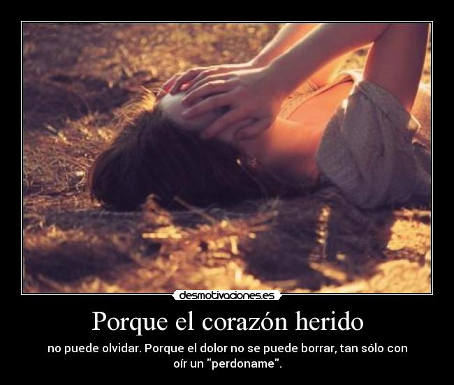 carteles corazon corazon perdoname desmotivaciones