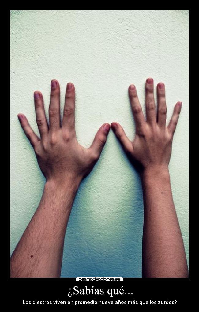 ¿Sabías qué... - Los diestros viven en promedio nueve años más que los zurdos?
