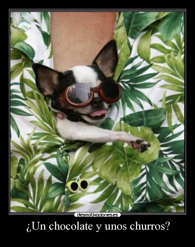 ¿Un chocolate y unos churros? -