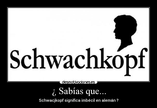 ¿ Sabías que... - Schwacjkopf significa imbécil en alemán ?