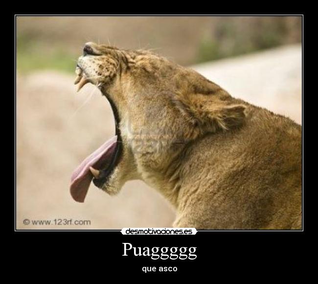 Puaggggg -