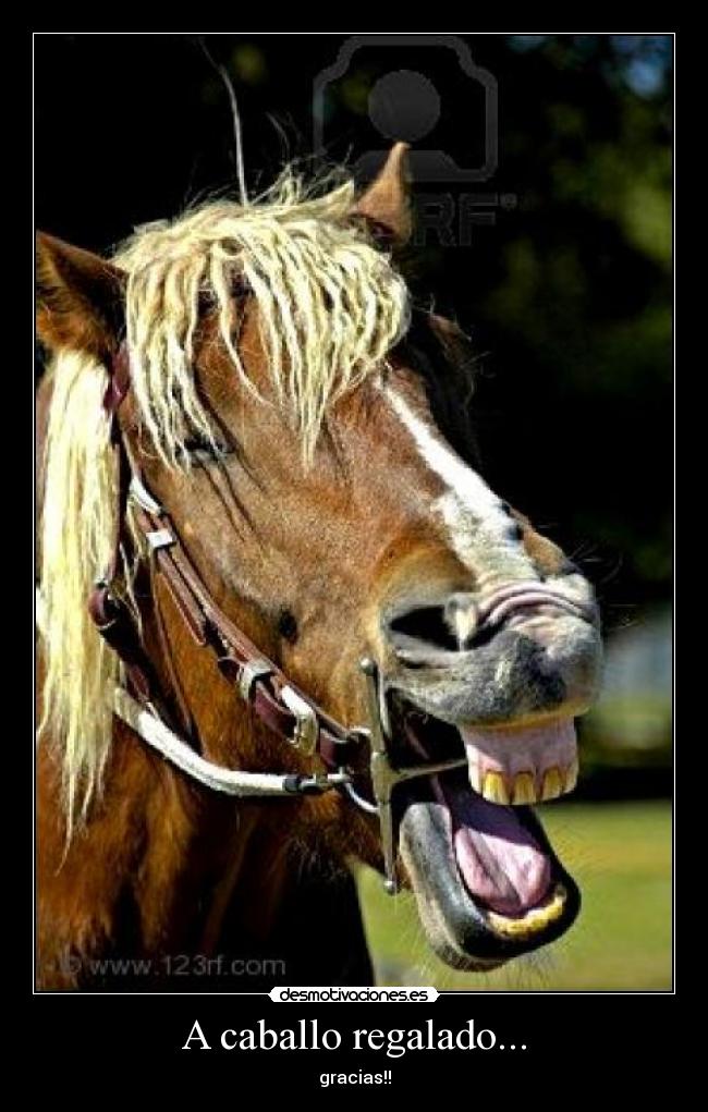 A caballo regalado... - gracias!!