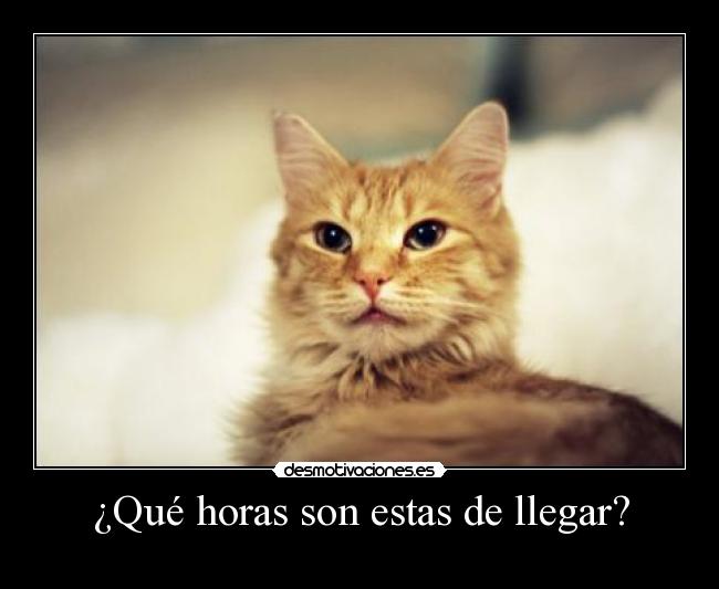 ¿Qué horas son estas de llegar? -