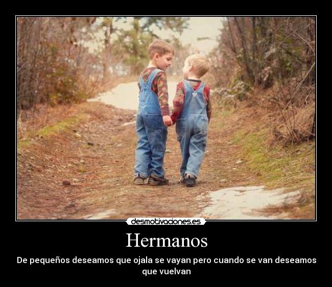 carteles hermanos amor desmotivaciones