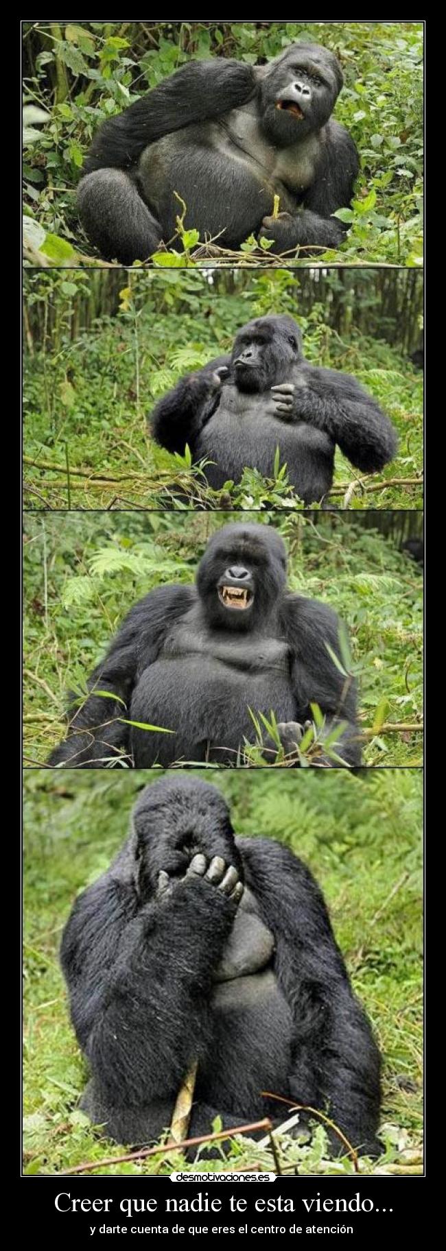 Creer que nadie te esta viendo... -