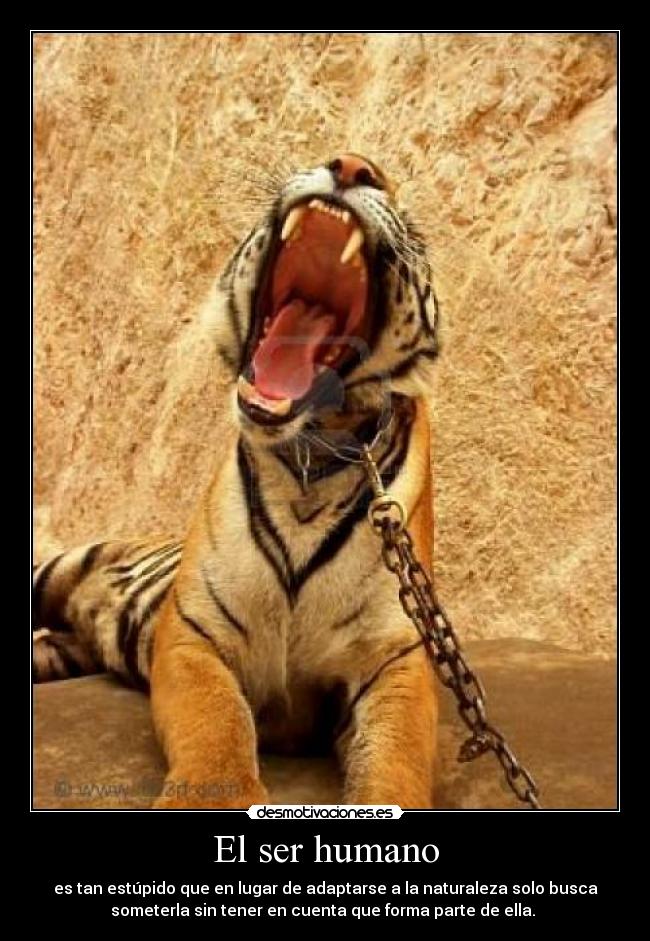 El ser humano - es tan estúpido que en lugar de adaptarse a la naturaleza solo busca
someterla sin tener en cuenta que forma parte de ella.