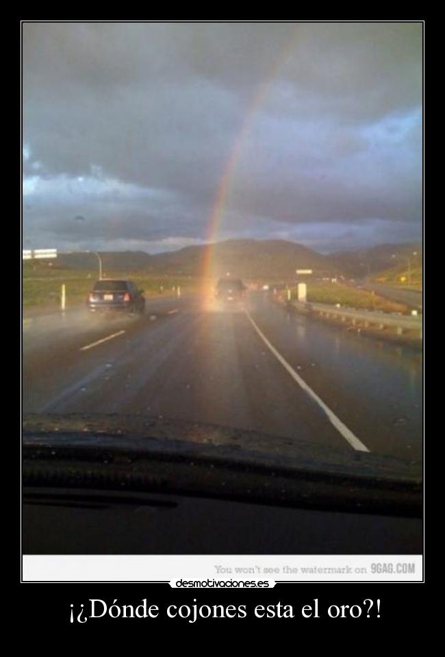 ¡¿Dónde cojones esta el oro?! -