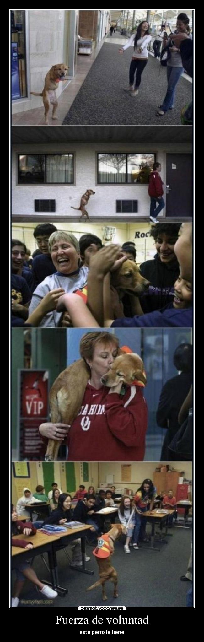 Fuerza de voluntad - 