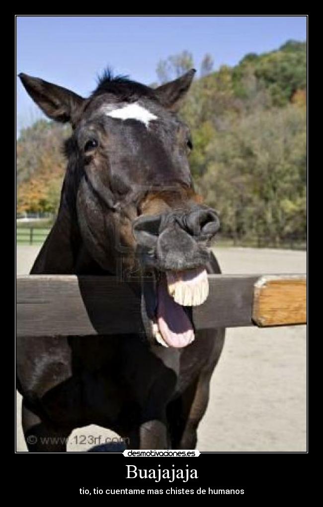 Buajajaja - 