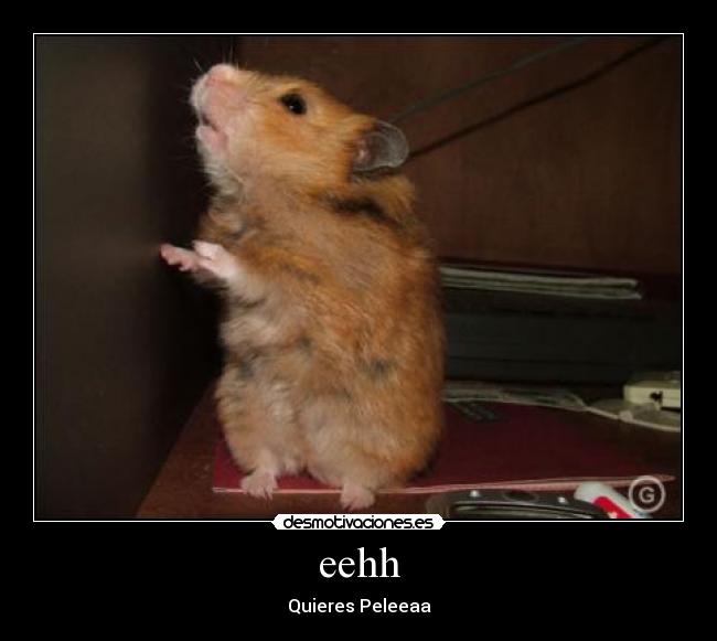 eehh - Quieres Peleeaa