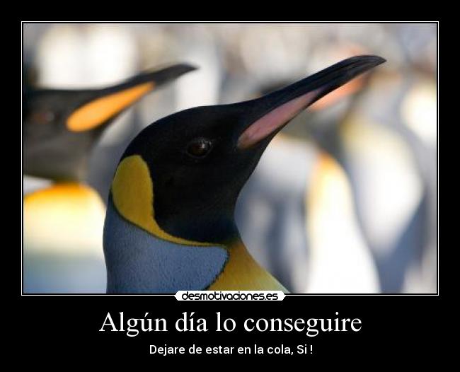 Algún día lo conseguire -